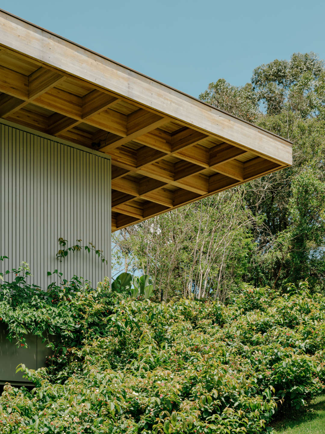 Casa Colméia projetada pela Sabella Arquitetura em Porto Feliz, SP.